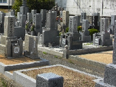 CIMG6441.JPG