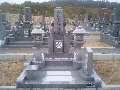 010.JPG