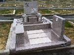 010.JPG